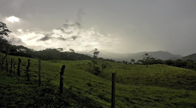 Panama XIII – En el huerto de Vicente